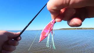 Winter Flounder caught fishing at Nudgee Beach Brisbane.