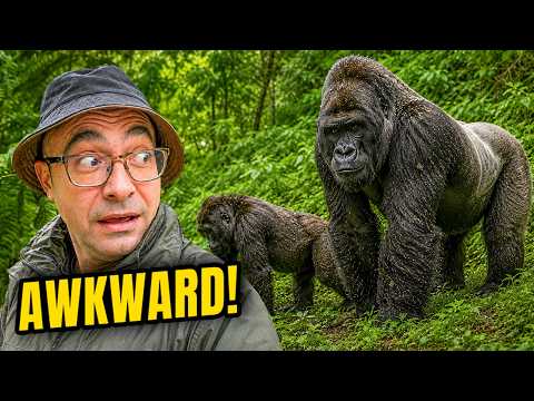 Gorilla Trekking in Rwanda for $2k THIS Happened
