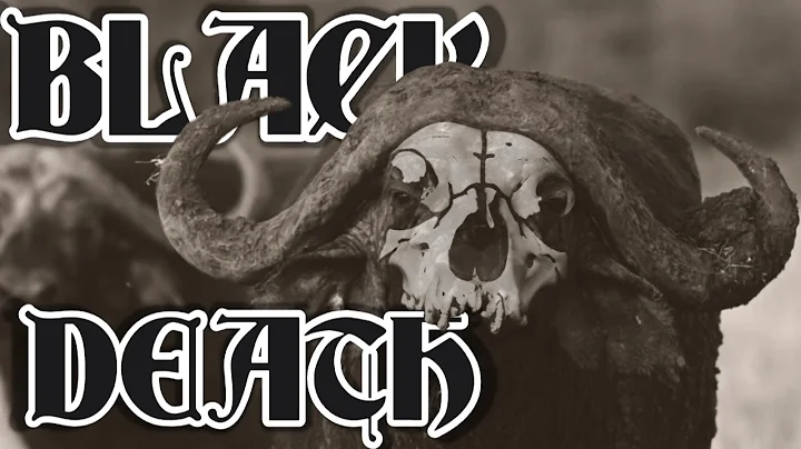 Cape Buffalo Hunting - Up Close and Personal