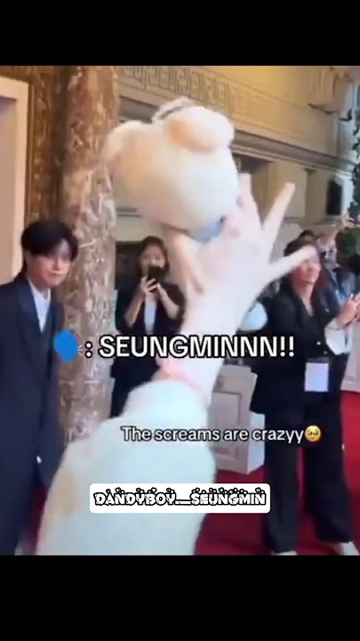 HE WAS RIGHT WHEN HE SAID.. stays never CALLED him seungmin ah... #seungmin #straykids#shorts