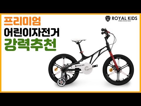 마그네슘 어린이 자전거 로얄키즈 파일럿 강력추천!!