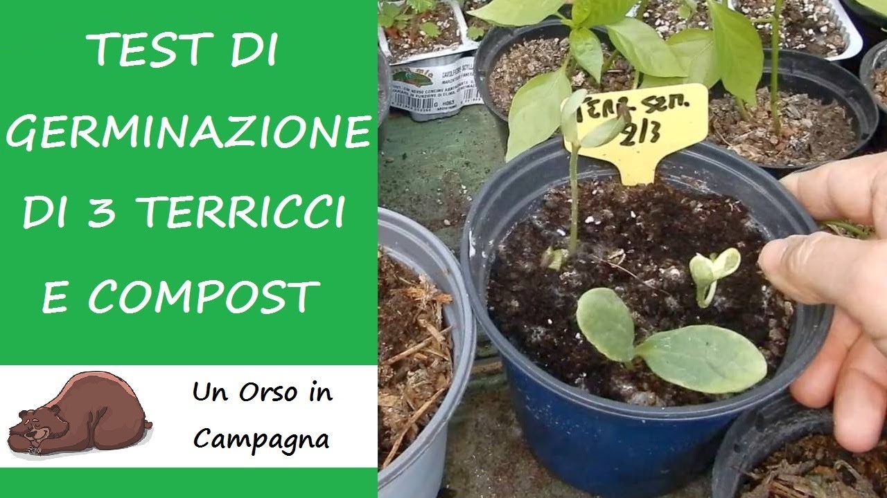 Verdenu Tappeto Riscaldante Per Piante - 25x52 Cm | Termostato Digitale | Impermeabile IP67 - Foto 4