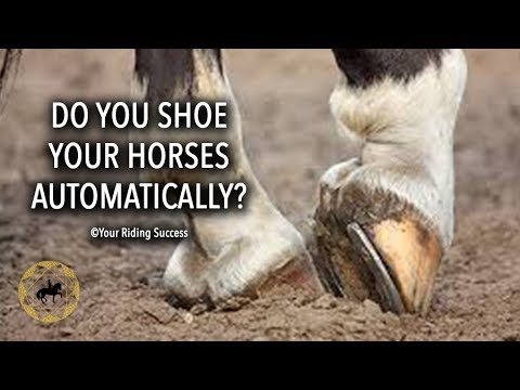 Video: Apakah kuda dressage membutuhkan sepatu?