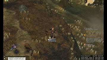 Tree of Savior - Collection: Feretory Hills