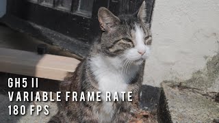 Slo-Mo Test Variable Frame Rate 180 fps GH5 II