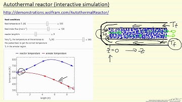 Autothermal Reactor (Interactive Simulation)