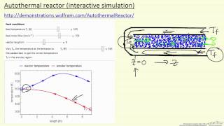 Autothermal Reactor (Interactive Simulation)