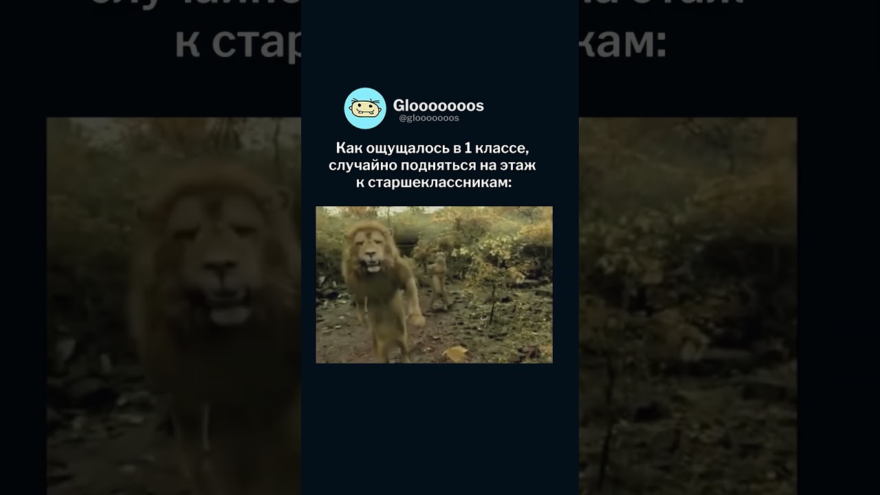 Стандартная ситуация в школе👀 
