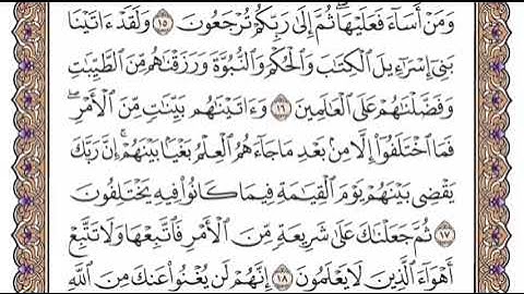 سورة الجاثية الشيخ ياسر الدوسري صفحة ٥٠٠