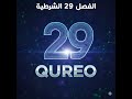 الفصل 29 الحل والشرح بالتفصيل منصة QUREO برمجة وذكاء اصطناعي للصف الاول الثانوي Chapter 29