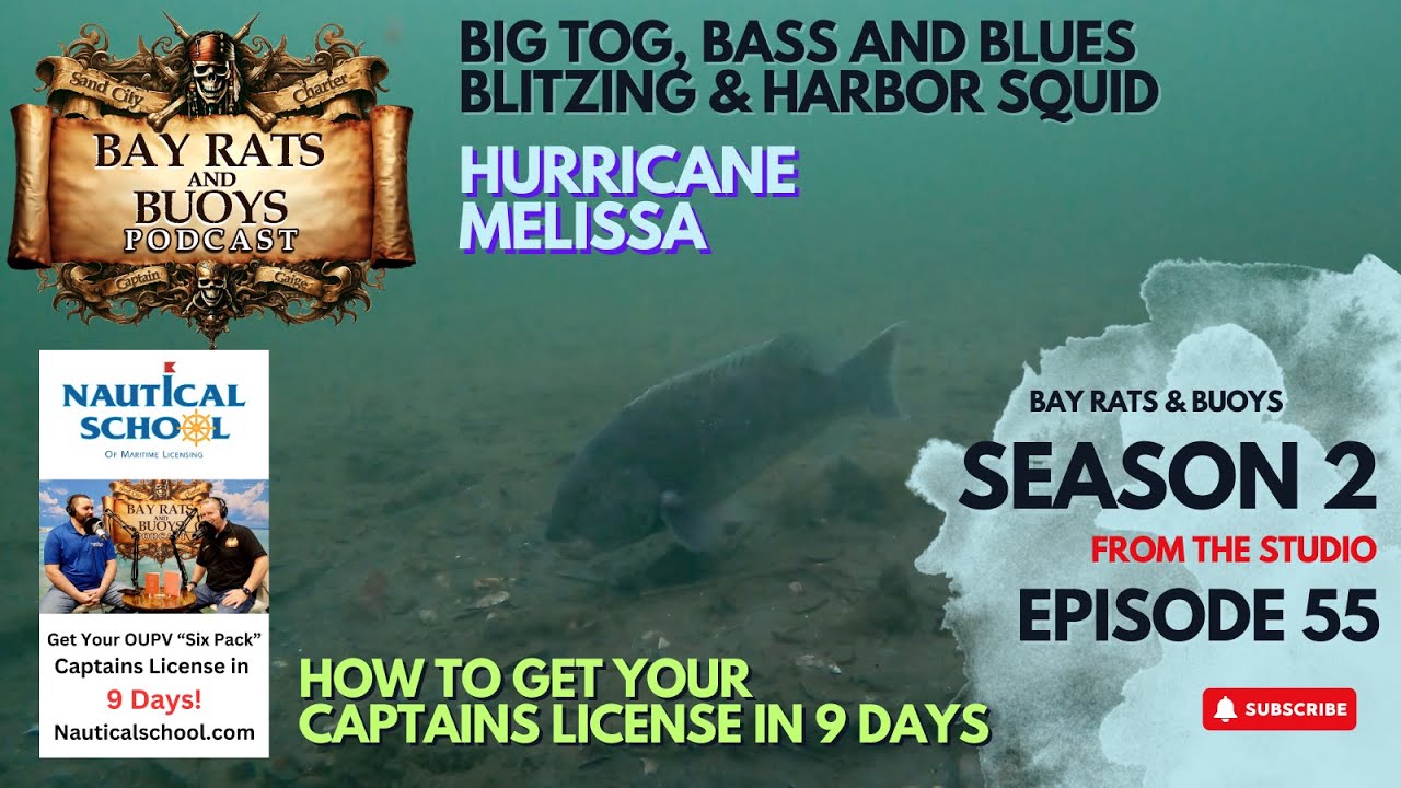 Подкаст Bay Rats & Buoys, выпуск 55 | Ураган Мелисса, Большой Тог, Блиц-бас и кальмары!