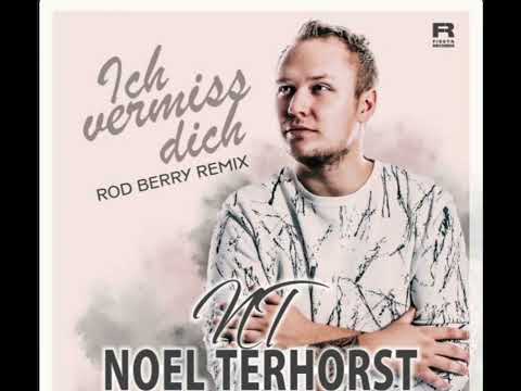 Noel Terhorst Ich Vermiss Dich ( Remix)