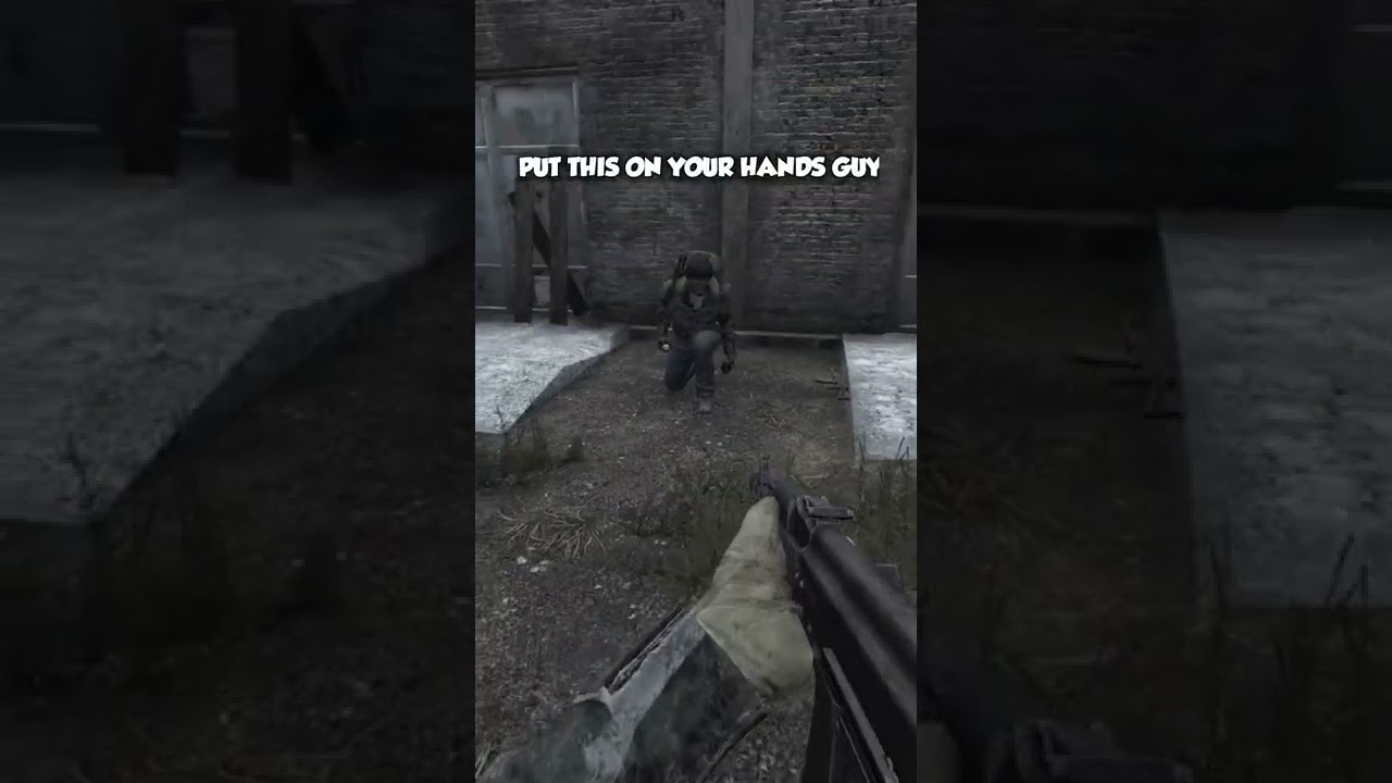 How I Deal With DayZ Survivors.