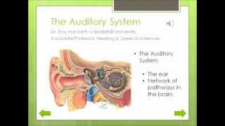 Auditory System Movie