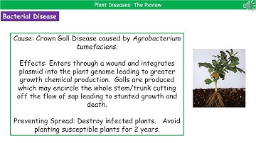 OCR Gateway A B6.3.5 - Plant Diseases