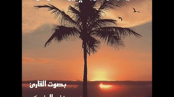 ما تيسر من سورتي يوسف وهود بصوت القارئ مهند العنبكي .. من اجمل القراءات البغداديه