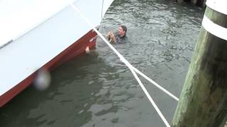 CBMM Tradition - Shipwright Apprentices jump into Miles River on last day!