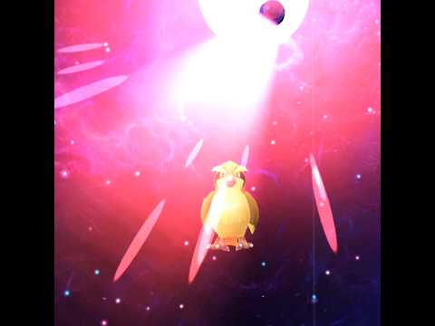 ポッポ最強 #応援お願いします #チャンネル登録お願いします #ポケモン #ポケモンgo #オススメ #ばずれ
