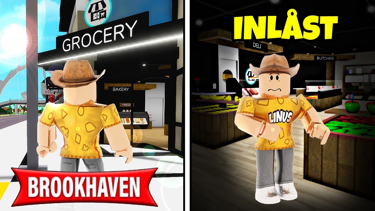 JAG BLEV INLÅST (RÅNARE KOM) - Brookhaven RP