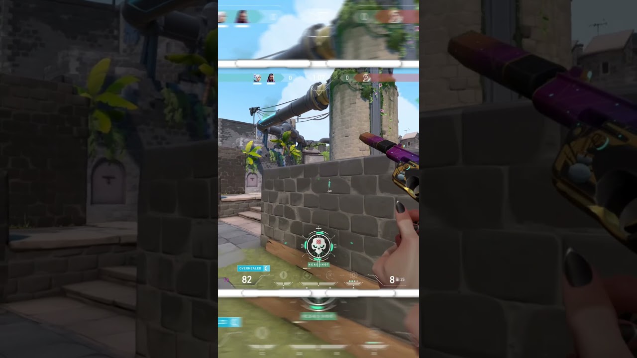 I tried VLT @Deathmaker 's Crosshair for the First Time and this Happened 