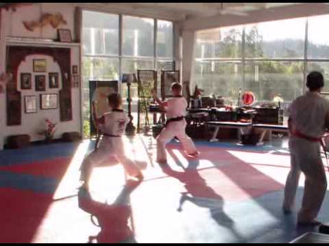Dragon Heart Tang Soo Do - Late Afternoon Class