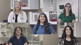 Creature Comforts Animal Hospital WE BELIEVE