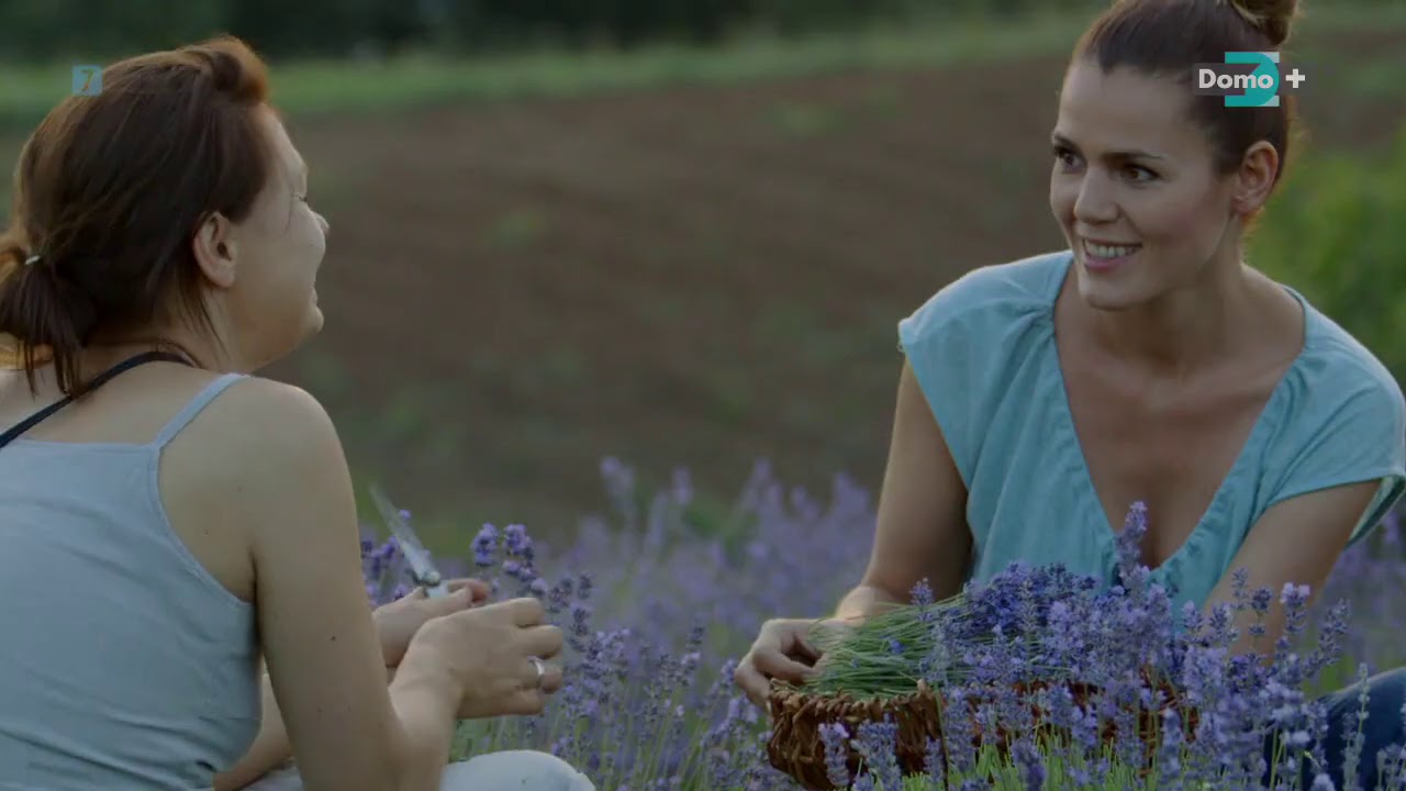 Daleko od miasta | Lawendowe pole | cały odcinek | Domo+
