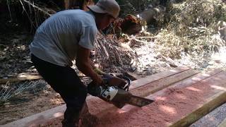 chain saw skills - from tree to log with easy