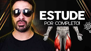 Quais são os músculos do quadríceps da coxa?