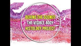 Visible Body | Behind the Scenes of the Visible Body Histology Project