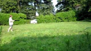 MultiPilot Board HexaFox Coax Arducopter First Flight (FOXTEAM)