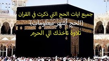 الحج أشهر معلومات | تلاوة عذبة هادئة من سورة البقرة | القارئ محمود سعيد