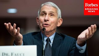 Dr. Fauci testifies before the Senate on COVID-19 vaccinations