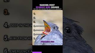 Most Scariest Bird Sounds