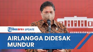 Menko Perekonomian Airlangga Hartarto Didesak Mundur dari Jabatan, Gagal Kendalikan Harga Migor