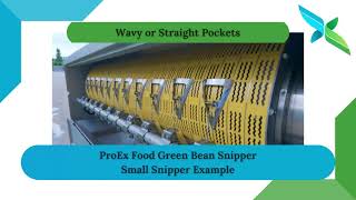 PROEX FOOD Green Bean Processing Line; Small Snipper