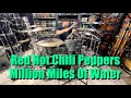 Red Hot Chili Peppers Million Miles Of Water Drum Cover @RedHotChiliPeppers