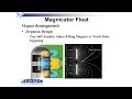 Lesman webinar innovations in magnetic level indication