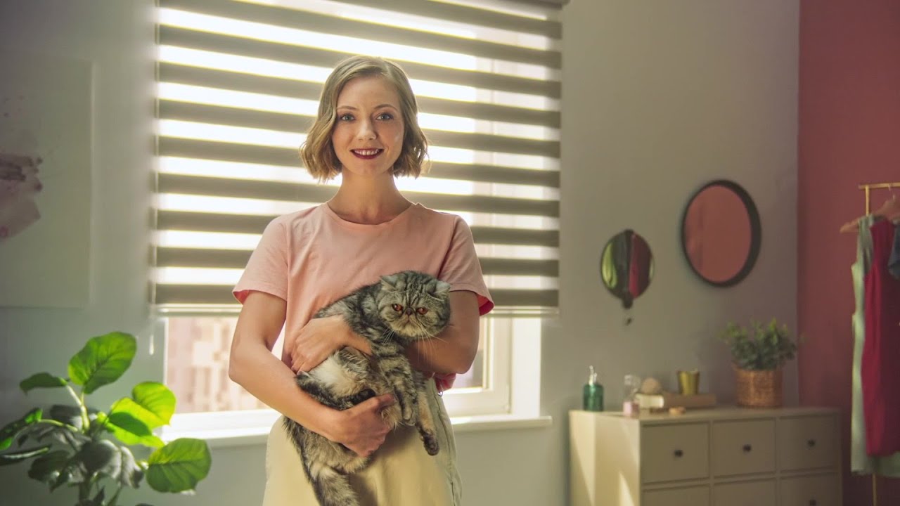 Рулонные шторы и жалюзи AMIGO - YouTube