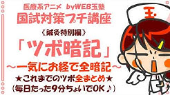 Web玉のタマえもん Youtube