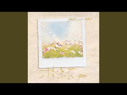 格桑花（说唱版）
