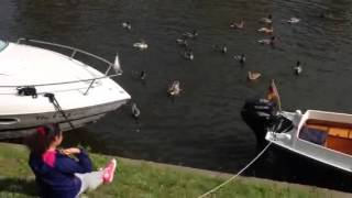 Maria Nif Feeding Ducks 10.2015 Roermond Holland P2