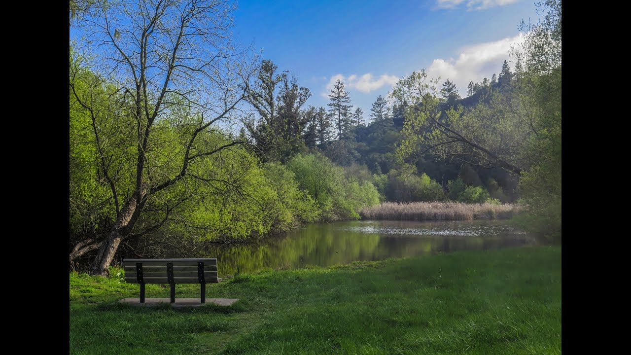 Quail Hollow Ranch YouTube