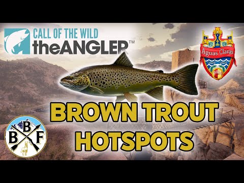 Hotspot Guide: Brown Trout (Spain) - Plus Hook Size, Bait and Lure!! | Call of the Wild: theAngler
