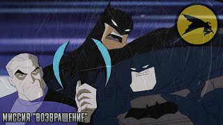 Бэтмен: Возвращение Тёмного рыцаря - В других мультфильмах