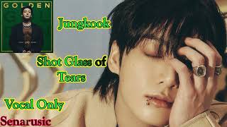 Jungkook (정국) - Shot Glass Of Tears (Vocal Only, Mr Removed) Resimi