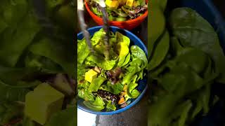 Vegan Walnut Oil for Roasting  Veggies | Vegantwosome #vegan #veganreview