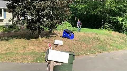 Wasps!  Wasp removal 101.