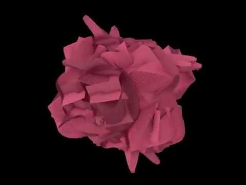 fractal rose [intermission 1] • Visualization • Trapcode Tao • Trapcode Soundkeys