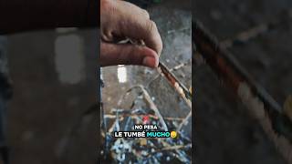 fue sin querer queriendo 😓😓#viral #shorts #reciclaje